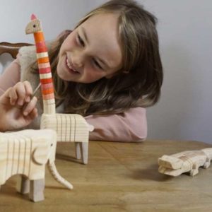 Wooden Toys